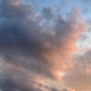 Meet your Posher, Abigail